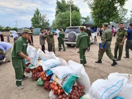 Кумак ба оилаҳои аз офатҳои табиӣ зарардида
